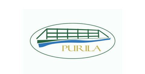 Riin.eu Portfolio: Logo Design and Corporate Identity